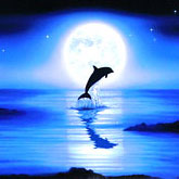 ミスティックライト